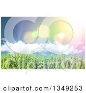 Poster, Art Print Of Background Of Retro Flares And Clouds Over Grass