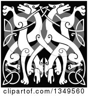 Clipart Of A White Celtic Wild Dog Knot On Black 4 Royalty Free Vector Illustration