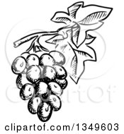 Poster, Art Print Of Black And White Sketched Grapes