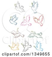 Poster, Art Print Of Sketched Colorful Flying Peace Doves With Branches