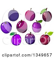 Clipart Of Cartoon Plums Royalty Free Vector Illustration