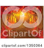 Poster, Art Print Of Golden Sunset Lit Path Through An Autumn Forest