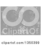 Poster, Art Print Of Christmas Background Of Snowflakes Over Gray