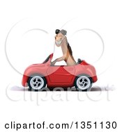 Clipart Of A 3d Brown Horse Wearing Sunglasses And Driving A Red Convertible Car To The Left Royalty Free Illustration