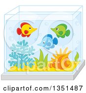 Poster, Art Print Of Cute Marine Fish In An Aquarium