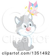 Poster, Art Print Of Cute Gray And White Kitten Sitting With A Butterfly On His Ear