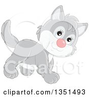 Poster, Art Print Of Cute Gray And White Kitten Walking