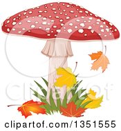 Fly Agaric Mushroom With Grass And Autumn Leaves