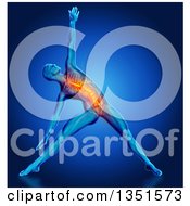 Poster, Art Print Of 3d Anatomical Man Stretching In A Yoga Pose With His Spine And Torso Highlighted On Blue