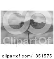 Poster, Art Print Of 3d Grayscale Tree And Hills Over A Still River Or Lake With Clouds