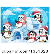 Cute Christmas Penguins Wearing Santa Hats And Playing At An Igloo