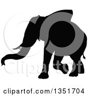 Poster, Art Print Of Black Silhouetted Elephant Walking 6