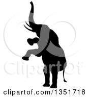 Clipart Of A Black Silhouetted Elephant Rearing Royalty Free Vector Illustration