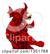 Poster, Art Print Of Muscular Fighting Red Welsh Dragon Man Punching
