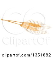 Poster, Art Print Of Golden Wheat