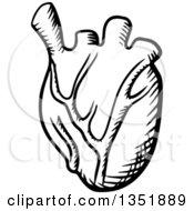 Clipart Of A Black And White Sketched Human Heart Royalty Free Vector Illustration by Vector Tradition SM
