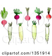 Clipart Of Radishes Beets And Daikons Royalty Free Vector Illustration by Vector Tradition SM