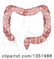 Clipart Of The Human Digestive Tract Large Intestine Royalty Free Vector Illustration by AtStockIllustration