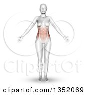 Clipart Of A 3d Anatomical Woman Standing With Visible Abdominal And Torso Muscles On White Royalty Free Illustration