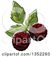 Cartoon Blackberries And Leaves
