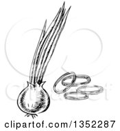 Clipart Of A Black And White Sketched Onion And Slices Royalty Free Vector Illustration