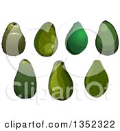 Clipart Of Green Avocados Royalty Free Vector Illustration