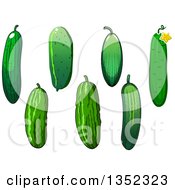 Clipart Of Green Cucumbers Royalty Free Vector Illustration