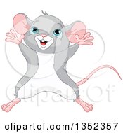 Cute Happy Gray And White Mouse Jumping