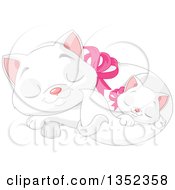Poster, Art Print Of Cute White Kitten Sleeping With Its Mother