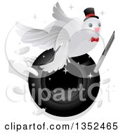 Magician Holding A Hat And Wand With A Dove