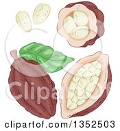 Poster, Art Print Of Sketched Cocoa Beans