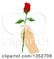 Poster, Art Print Of Hand Holding A Long Stemmed Red Rose