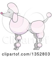 Clipart Of A Pink Poodle Royalty Free Vector Illustration