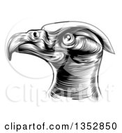 Clipart Of A Black And White Woodcut Or Engraved Bald Eagle Head Royalty Free Vector Illustration