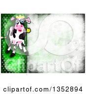 Poster, Art Print Of Background Of A Happy Cow Chewing On A Flower Over Distressed Green Polka Dots
