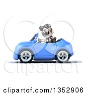 Clipart Of A 3d White Tiger Wearing Sunglasses And Driving A Blue Convertible Car On A White Background Royalty Free Vector Illustration