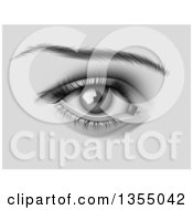 Clipart of a Grayscale Feminine Eye - Royalty Free Vector Illustration by vectorace #COLLC1355042-0166
