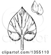 Poster, Art Print Of Black And White Sketched Veined Leaf And Water Drops