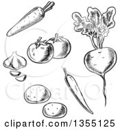 Clipart Of Black And White Sketched Carrot Tomatoes Garlic Potatoes Chili Pepper And Beet Royalty Free Vector Illustration
