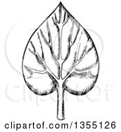 Clipart Of A Black And White Sketched Veined Leaf Royalty Free Vector Illustration