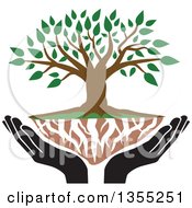 Poster, Art Print Of Tree With Green Leaves White Roots And Black Uplifted Hands