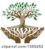 Clipart Of A Tree With Green Leaves White Roots And Uplifted Hands Royalty Free Vector Illustration by Johnny Sajem #COLLC1355252-0090
