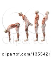 3d Anatomical Man With Visible Muscles Showing Trunk Flexion Extension And Hyerextension On A White Background
