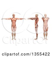 3d Anatomical Man With Visible Muscles Showing Shoulder Horizontal Abduction And Adduction On A White Background
