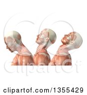 3d Anatomical Man With Visible Muscles Showing Cervical Flexion Extension And Hyperextension On A White Background