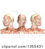 3d Anatomical Man With Visible Muscles Showing Cervical Rotation On A White Background