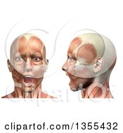 3d Anatomical Man With Visible Muscles Showing Mandible Depression From The Front And Side On A White Background