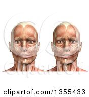 3d Anatomical Man With Visible Muscles Showing Mandible Lateral Deviation Left And Right On A White Background