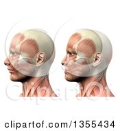 3d Anatomical Man With Visible Muscles Showing Mandible Protusion And Retrusion On A White Background