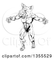 Poster, Art Print Of Black And White Muscular Fox Man Mascot Lunching Forward To Attack